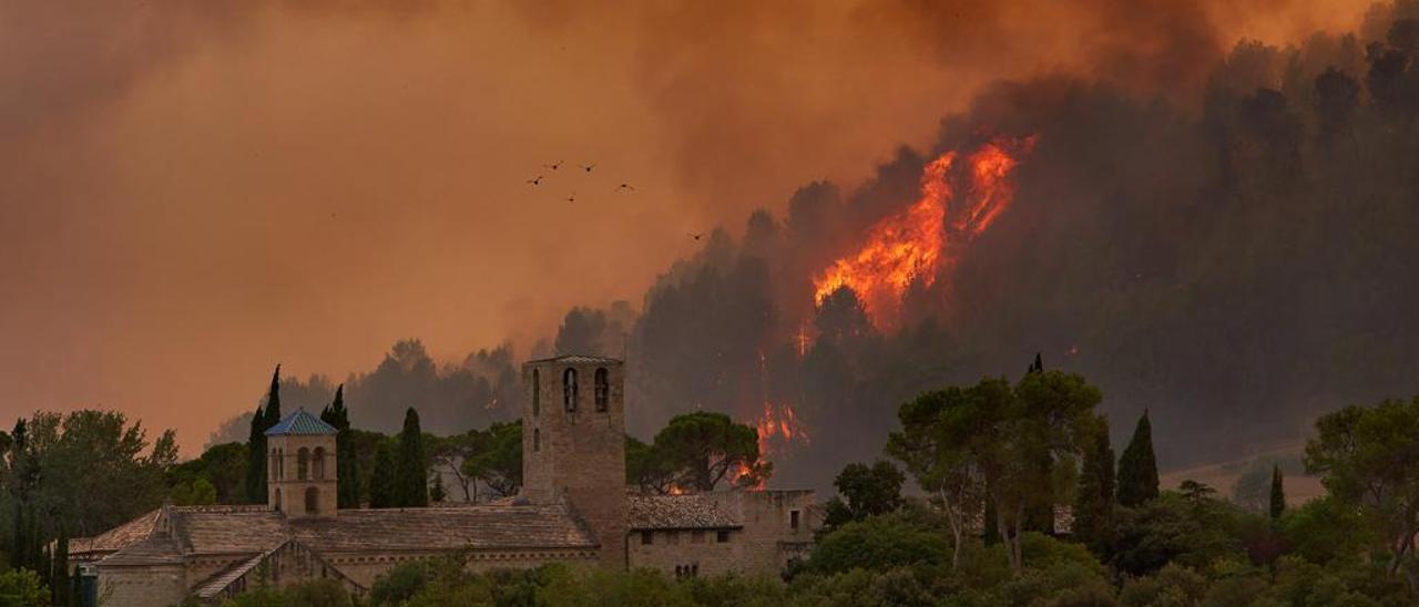 El foc ha arribat a les aproximacions de Sant Benet