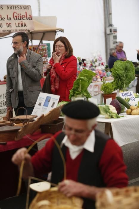 Castrillón, de fiesta por San Isidro.