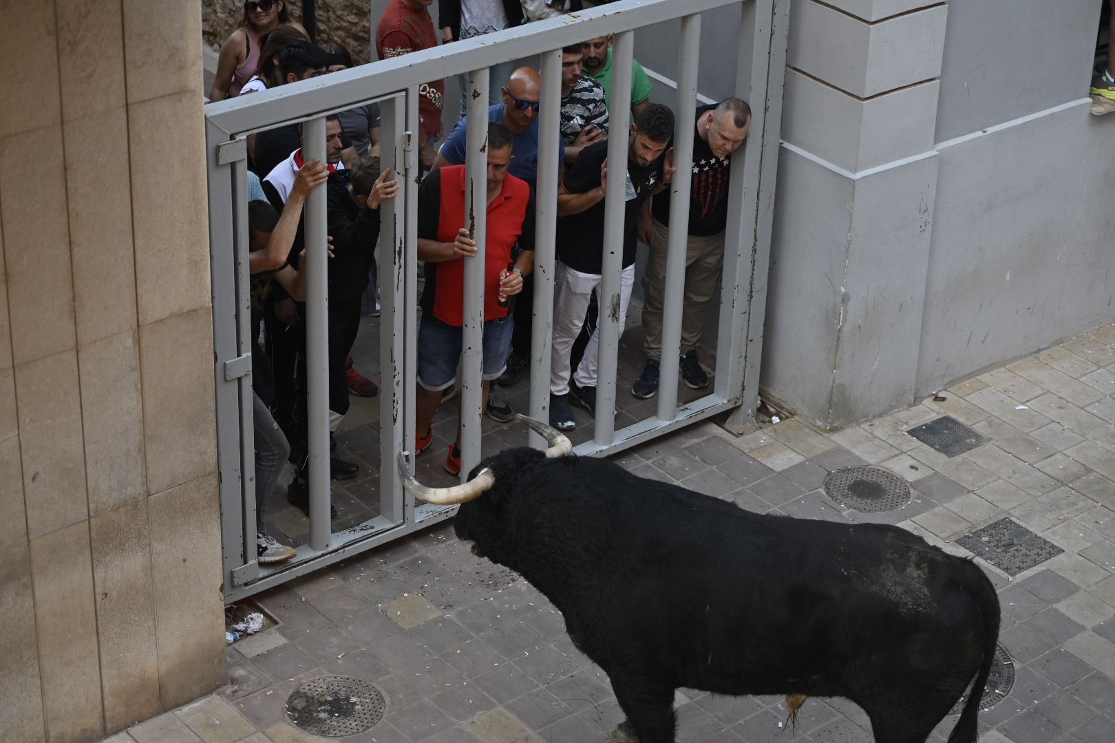 Galería | Primera tarde de toros en Almassora