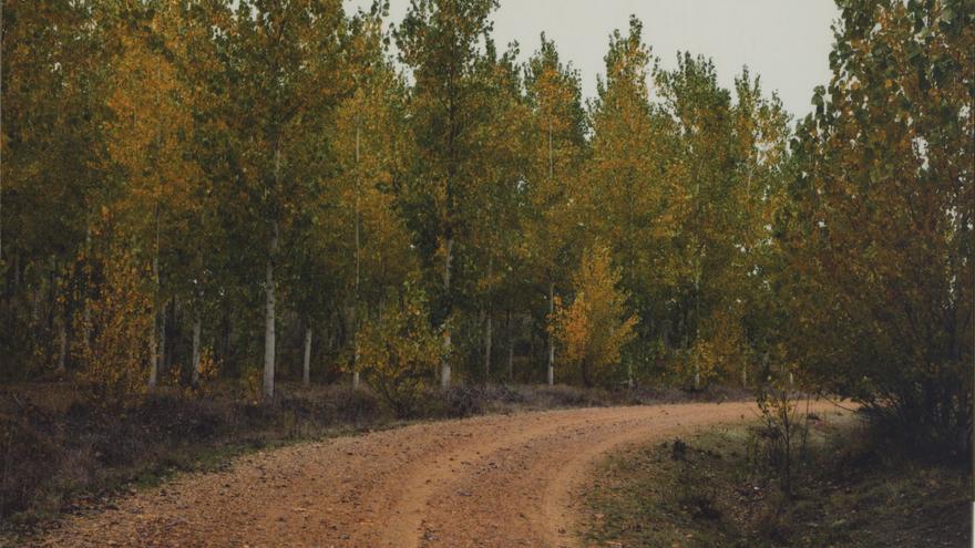 Y de repente llegó el otoño