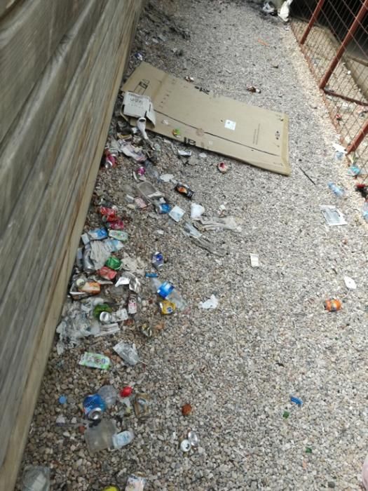 Brutícia al parc infantil de la plaça de la Reform