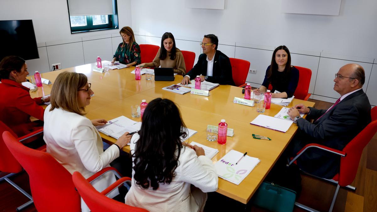 La reina Letizia preside a una reunión de trabajo con la Federación Española de Enfermedades Raras.