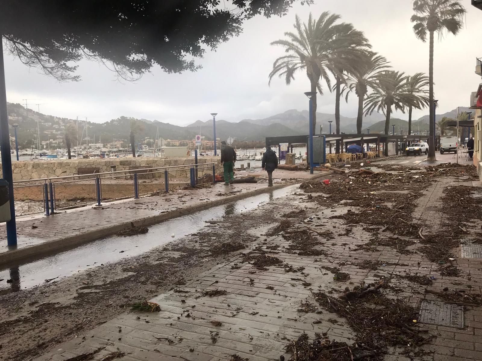 Bella provoca grandes destrozos en el Port d'Andratx