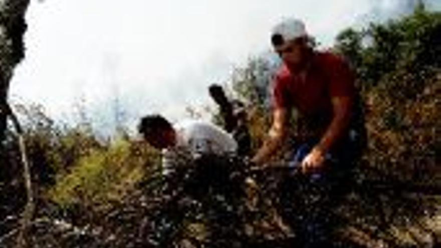 Desactivado el nivel de alerta al estar los incendios bajo control