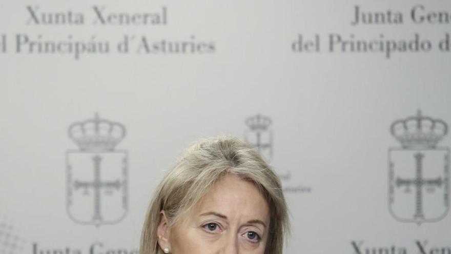 Cristina Coto durante una intervención en la Junta General del Principado.