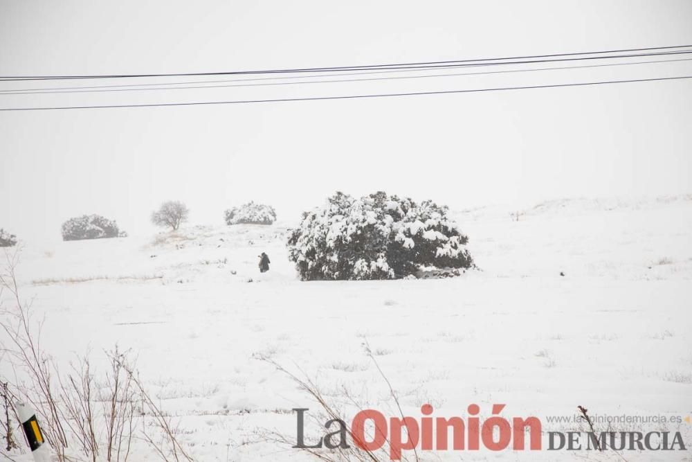 Temporal en el Noroeste (pedanías de El Moral y El