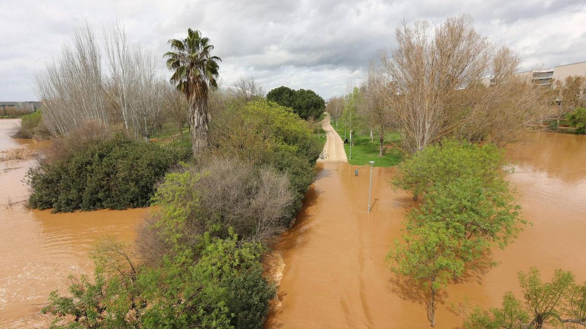 Caminos del parque de la Isla cubiertos por el agua del río Guadiana.