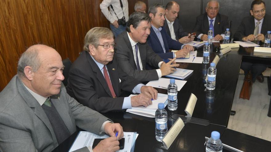 Representantes de los regantes del Trasvase durante la Junta de Gobierno de la CHS, reunida ayer.