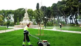 Menos adorno y más salud: el césped ya no reina en los parques de Zaragoza
