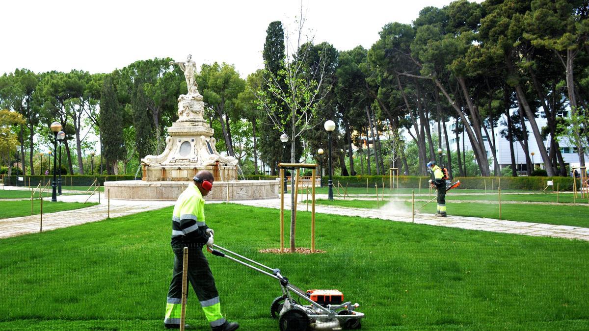Un trabajador poda el césped en la pradera de la plaza Princesa, en el parque Grande.