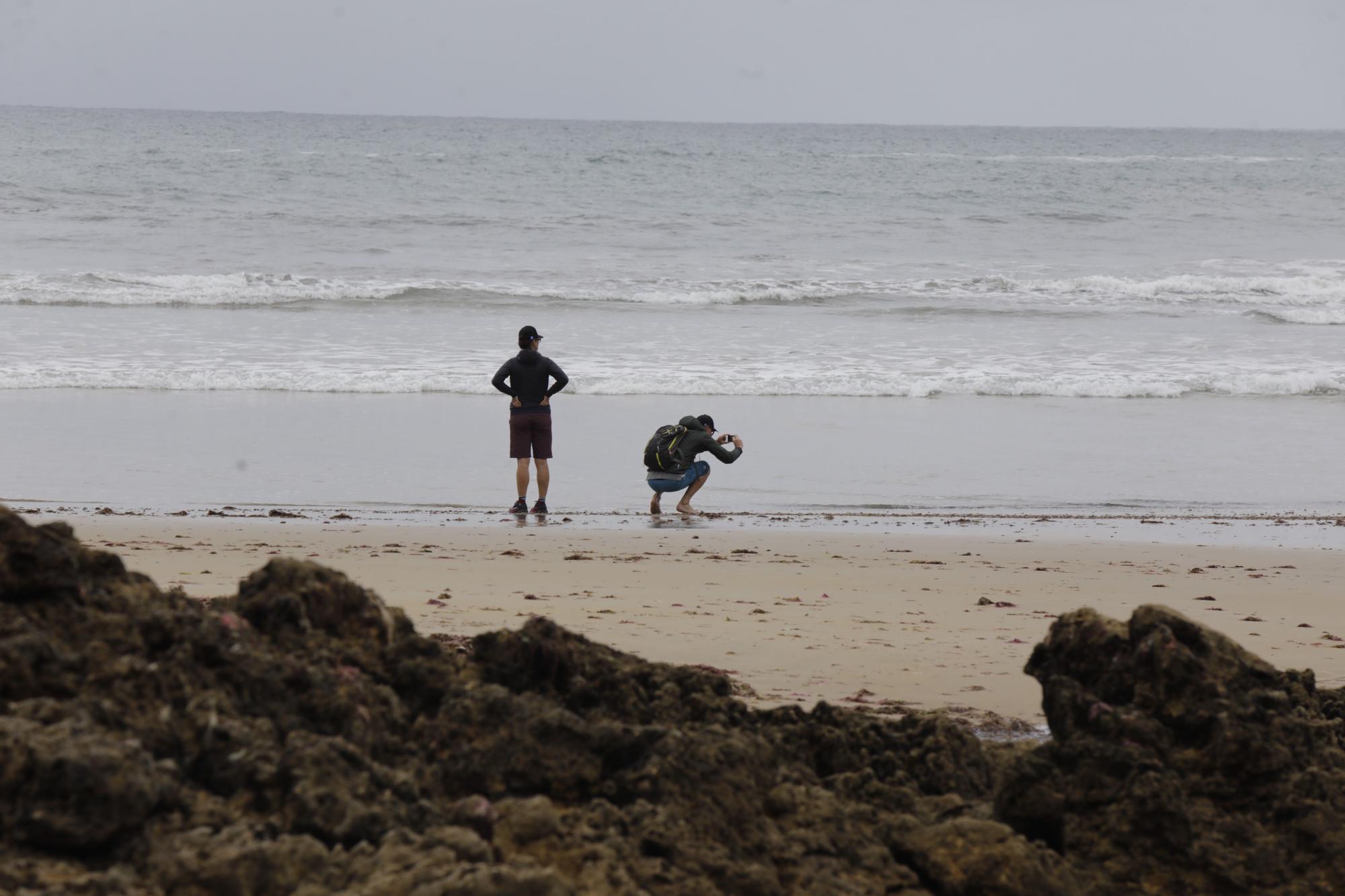 Así es Torimbia, la playa en la que a veces toca taparse