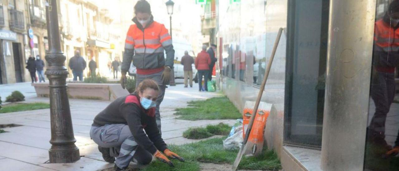 Operarios municipales renovando los tepes de Padre Feijóo.