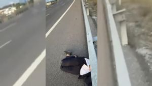 Joven durmiendo en el arcén de la M-40 en Madrid