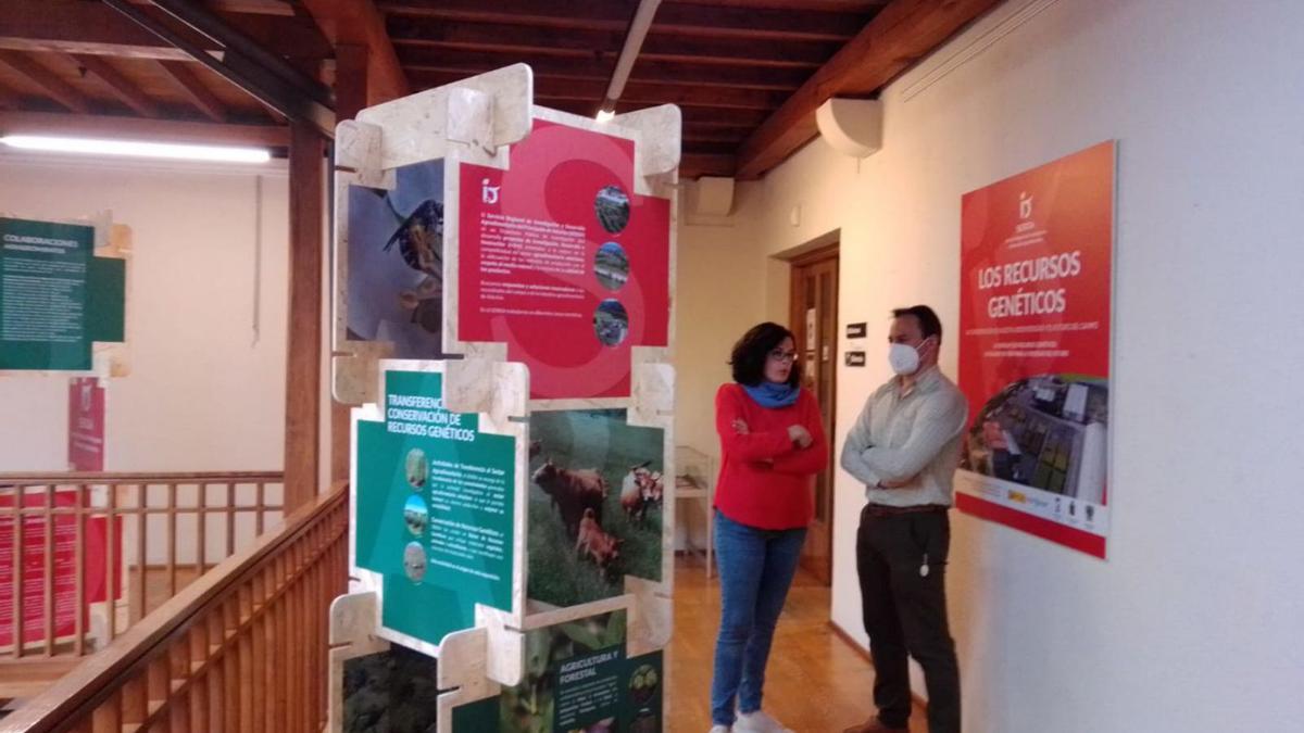 La exposición del Serida en la Casa de Cultura de Grado. | S. Arias