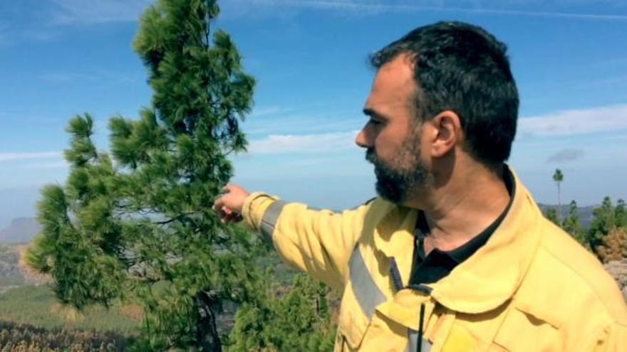 Incendio en Gran Canaria | El ingeniero forestal Federico Grillo explica la extensión del incendio de la Cumbre grancanaria