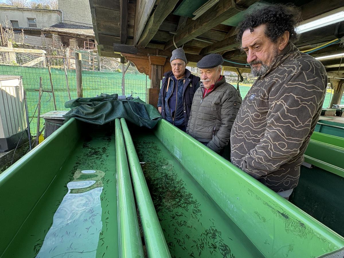 Por la izquierda, Loli Fidalgo, Carlos Menéndez y Román Herrero, ante una de las bañeras con los alevines.