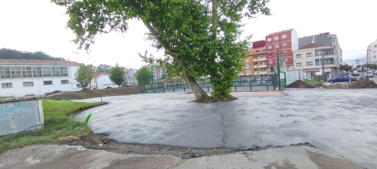El plátano, de un gran porte y tamaño, se quiere utilizar como elemento central de una nueva plaza de más de 1.000 metros cuadrados de superficie.