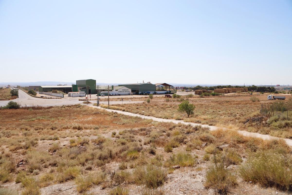Otra vista de los suelos donde se levantará el centro de datos de La Puebla de Alfindén.