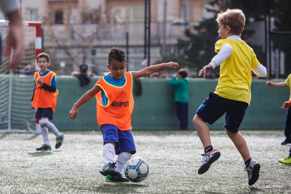 El fútbol sala pitiuso de base sobrevive sin Ligas federadas