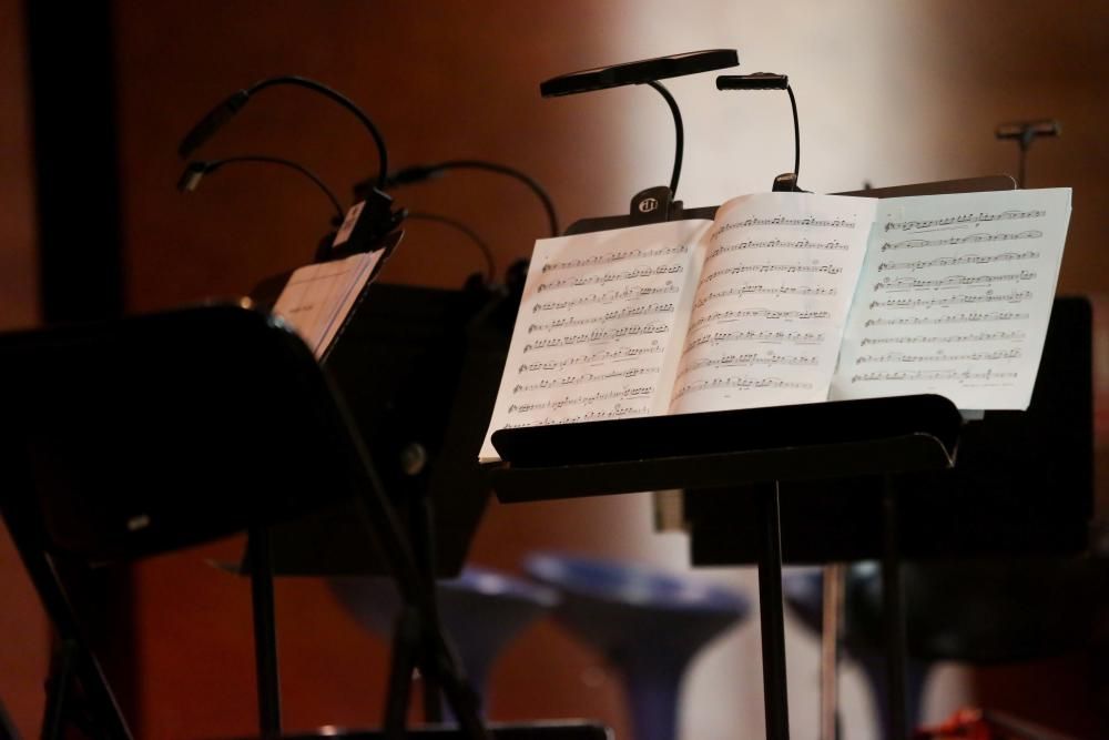 Los músicos integran un cuarteto formado por dos violines, una viola y un violonchelo