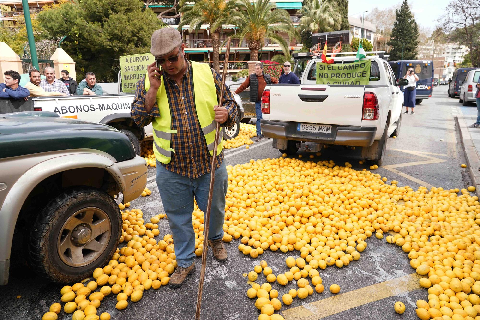 Concentración de agricultores en las puertas de la Subdelegación de Gobierno de Málaga, en el Paseo de Sancha.