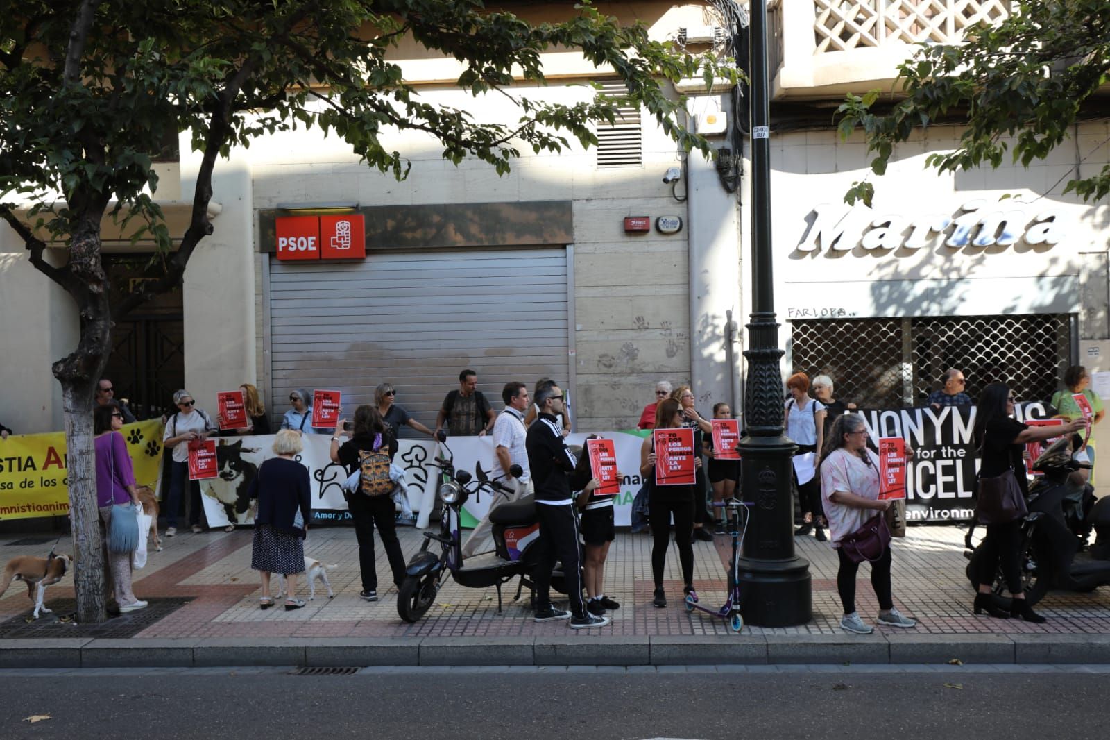 Protesta animalista ante la sede del PSOE en Zaragoza