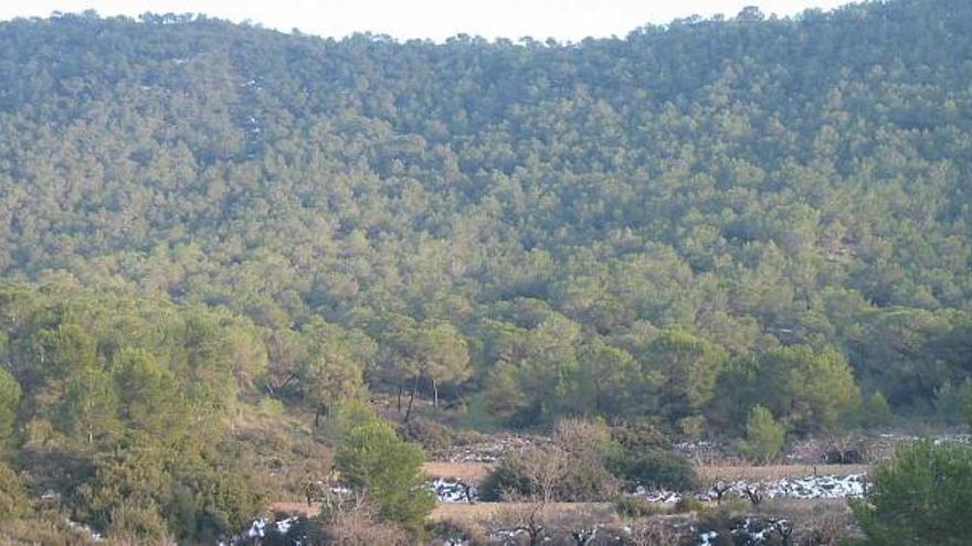 Una imagen de archivo de Sierra Escalona, que está a la espera de ser declarada parque natural.