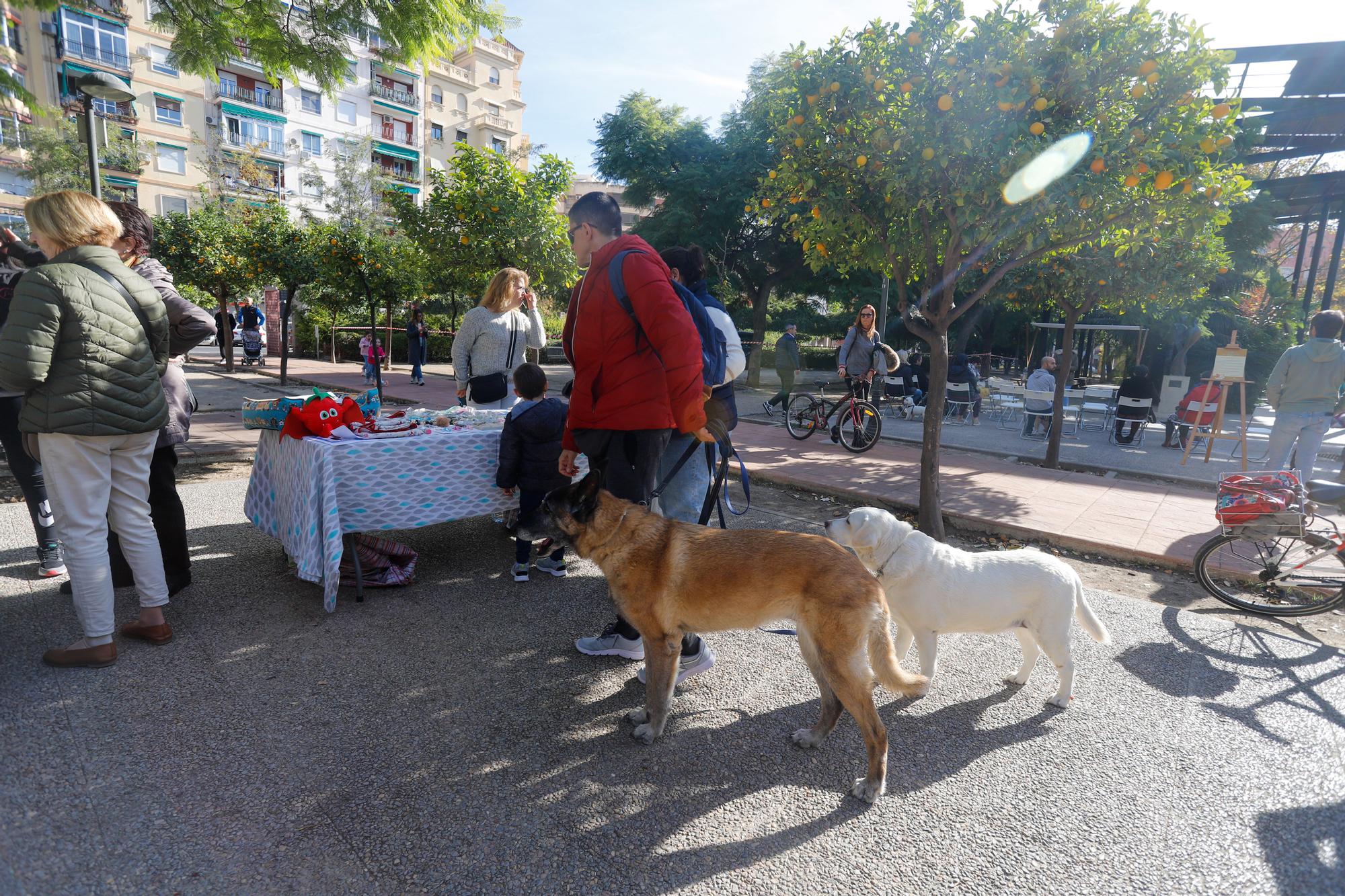 III Jornada de Benestar Animal de València