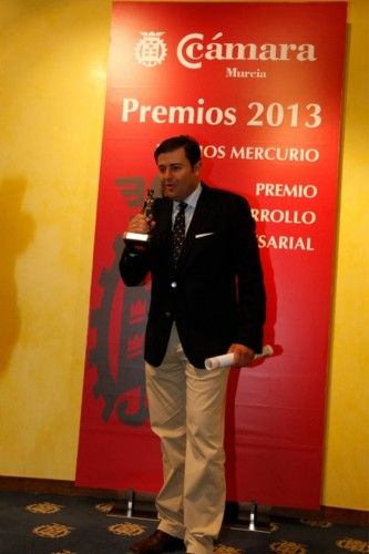 Entrega de los Premios Mercurio 2014