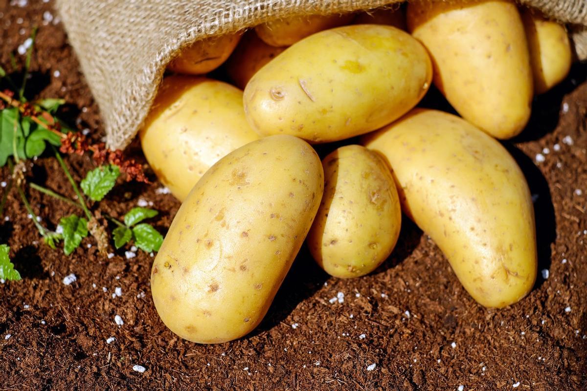 Sabes cómo guardar las patatas correctamente? Te lo contamos