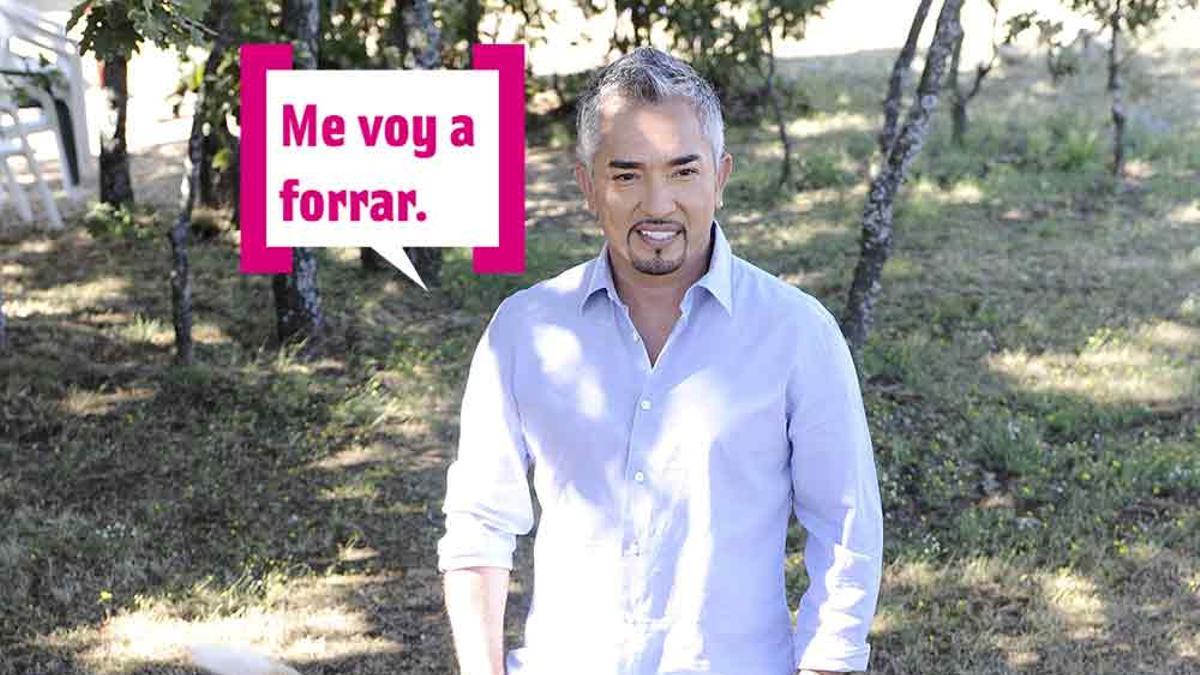 César Millán posando con algunos de sus perros