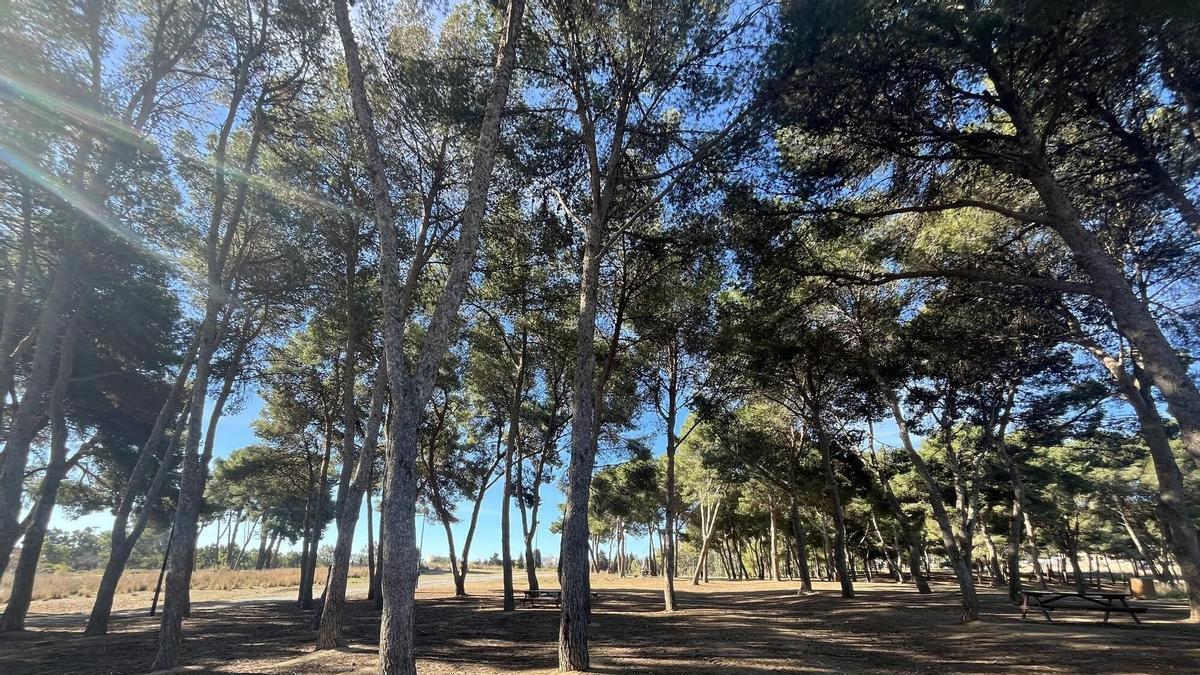 Una imagen del Campamento Benítez