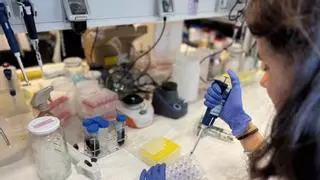 Así funciona a nivel molecular la nueva terapia contra el melanoma