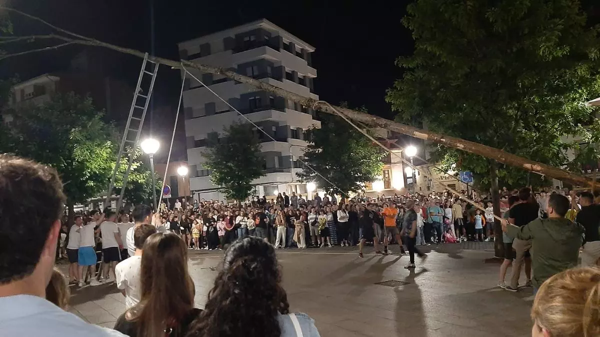 Los solteros plantan el álamo en Pola de Siero: así ha sido la noche de San Juan (con susto incluido)