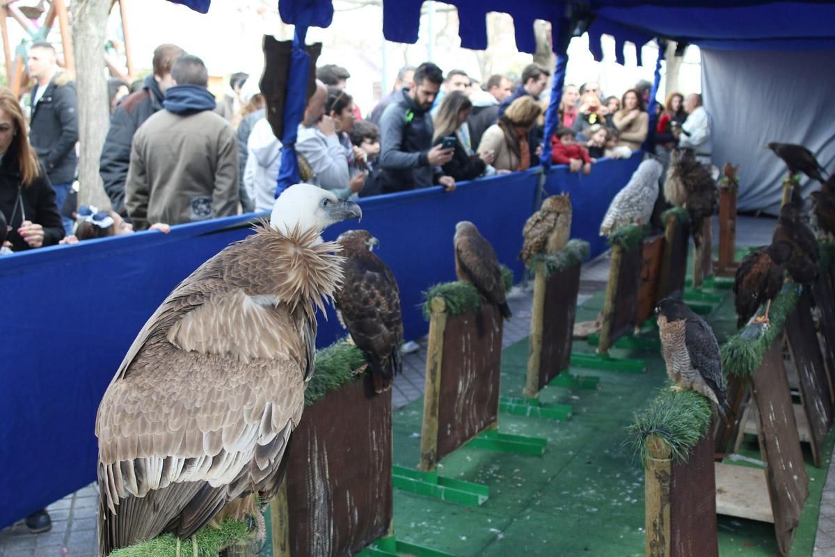 Sábado de Mercado Medieval en La Calahorra