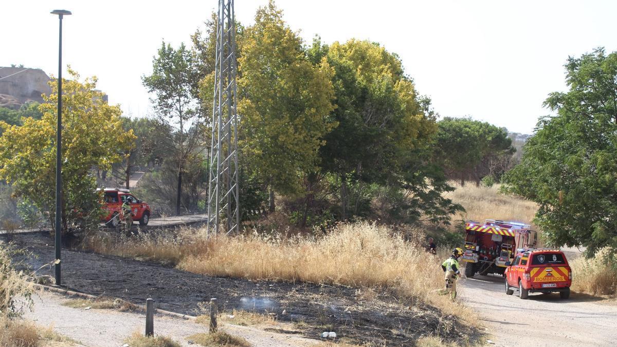 Varios efectivos del parque de Bomberos de Badajoz sofocan las llamas en un incendio en el parque del Rivillas de Badajoz.