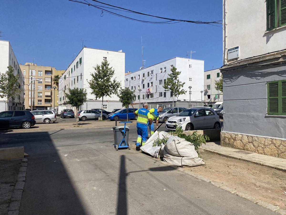 Los trabajadores retiran hierbas de la zona