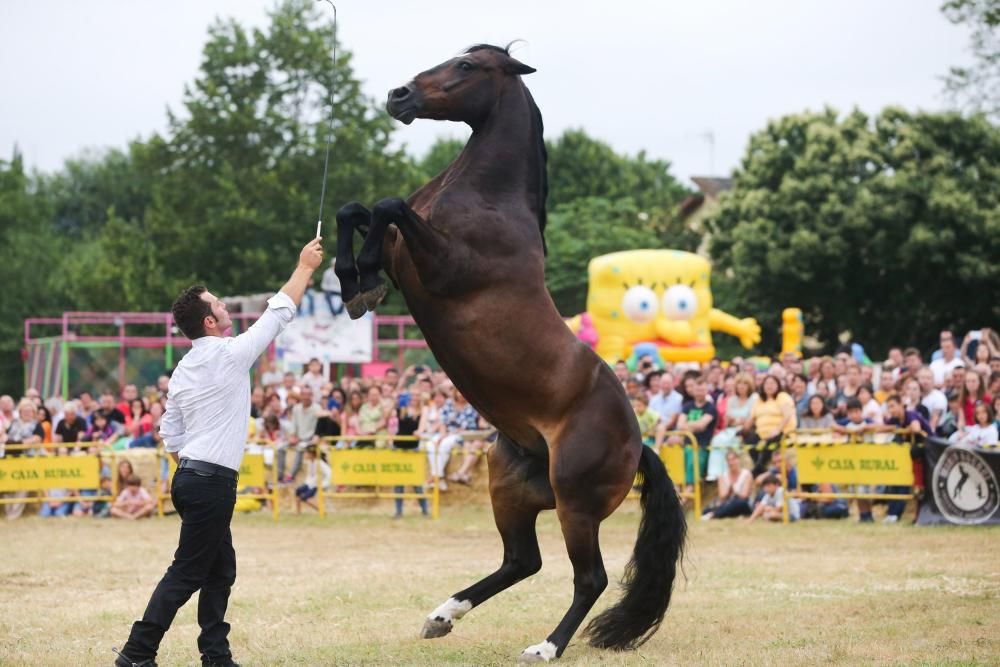 Espectáculo equestre en las fiestas de Premoño (Las Regueras)