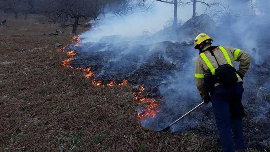 Un bomber treballa per apagar un incendi forestal