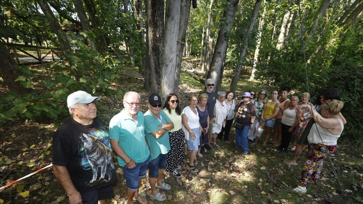 EN IMÁGENES: El fondo de Valliniello, harto de la dejadez por parte del Ayuntamiento