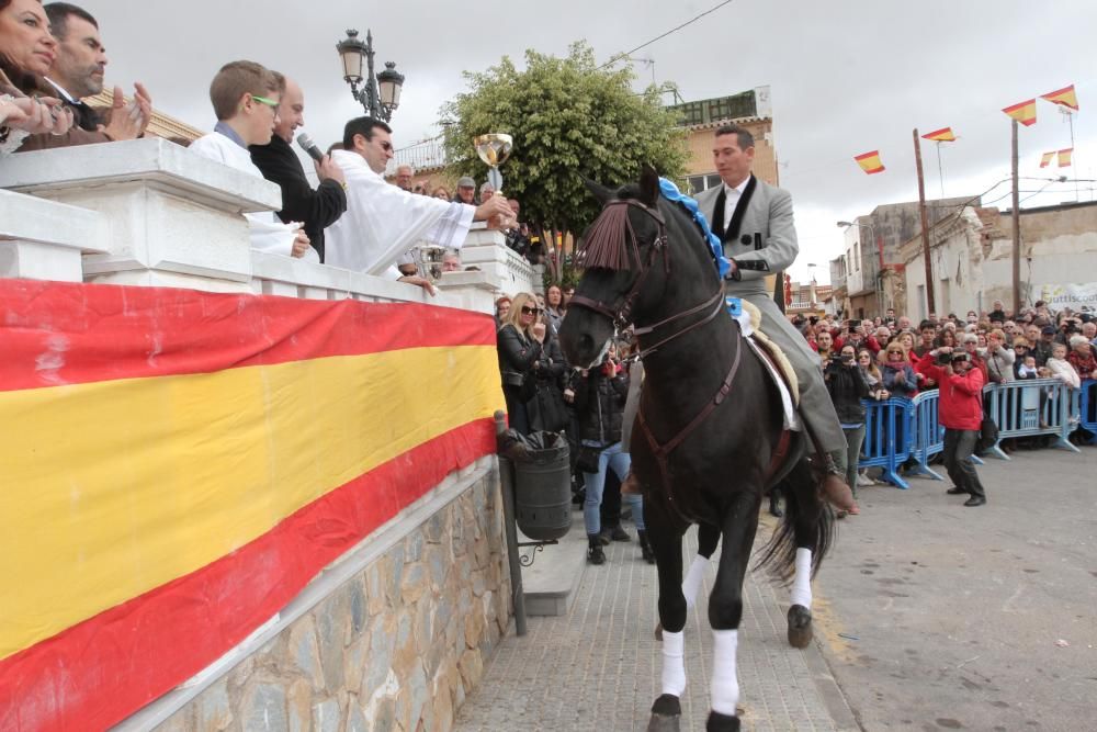 Bendición de los animales en Cartagena