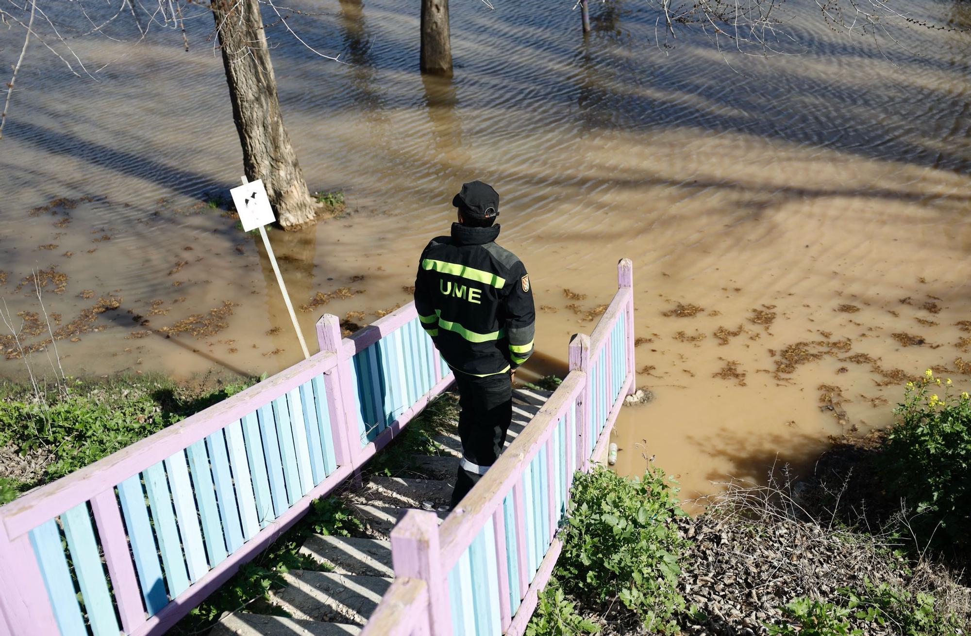 En imágenes | Así transcurre la crecida del Ebro a su paso por Aragón