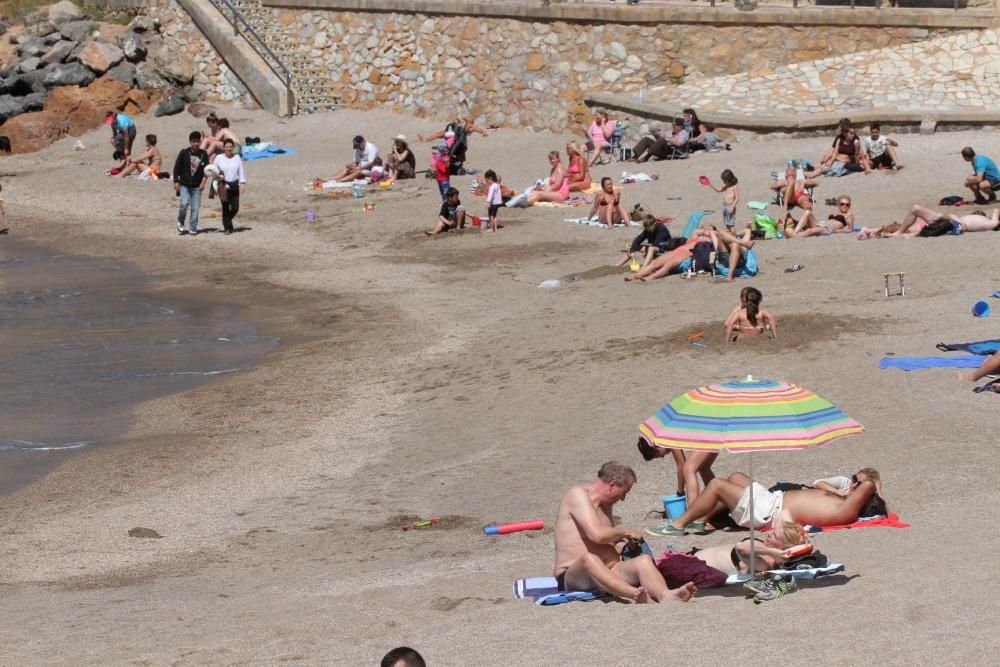 Día de la Mona en Cartagena