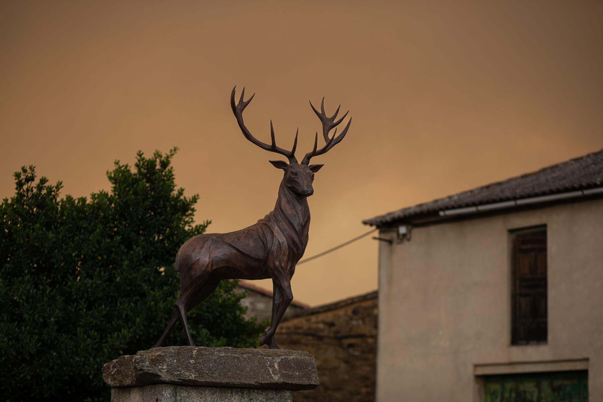 Zamora, el infierno en llamas