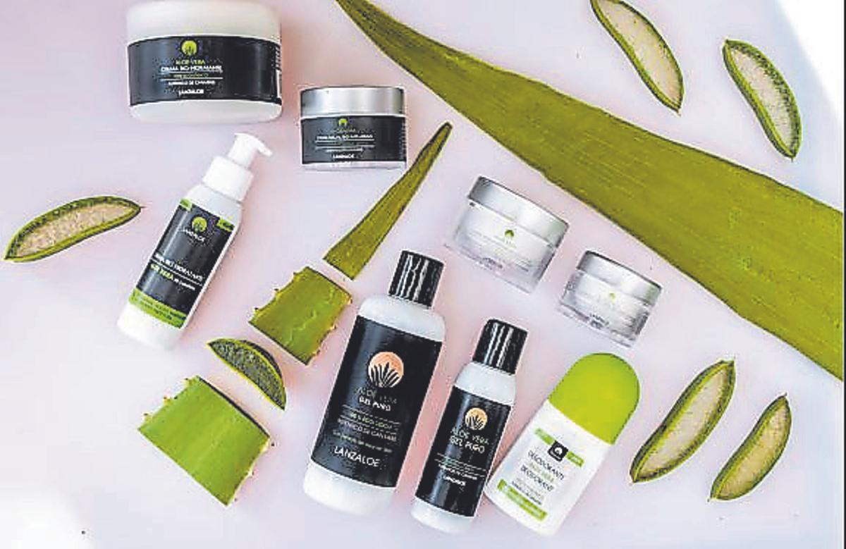 Lanzaloe se ha consolidado como un referente del archipiélago en la elaboración de cosmética y complementos alimenticios a partir de esta planta