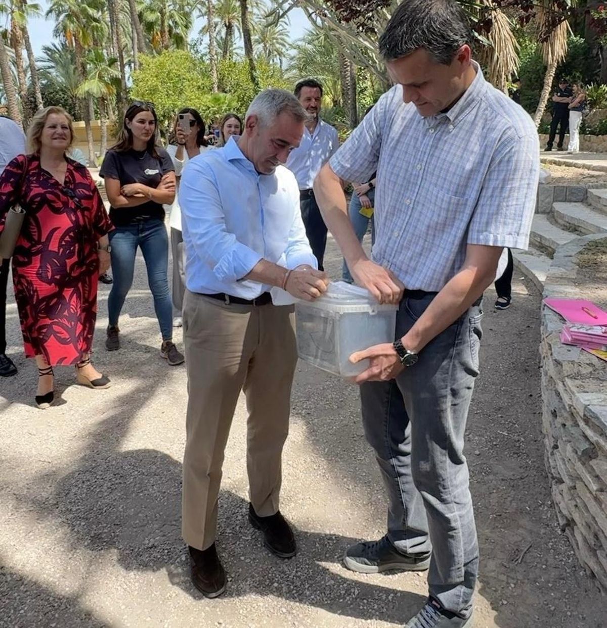 El momento de la suelta de los mosquitos estériles en Elche