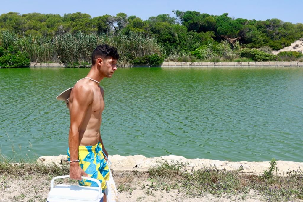 Vertido de agua verde en la playa del Perellonet