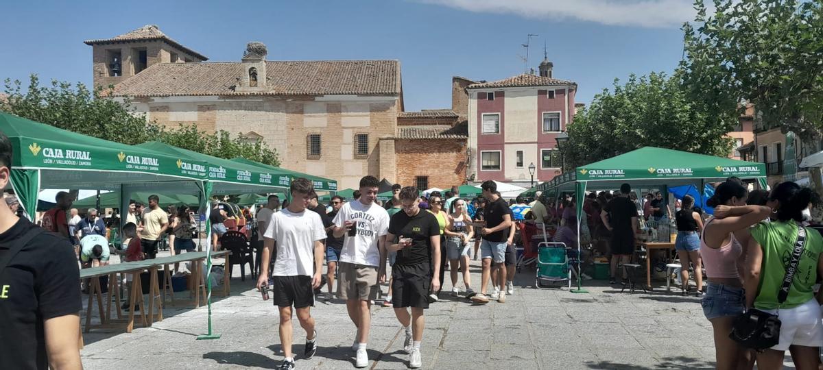 GALERÍA | Día de las Peñas con sabor a paella en las Fiestas de San Agustín de Toro