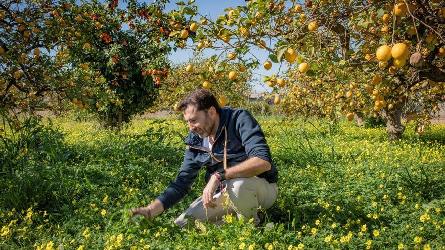 El chef de &#039;Local de Ensayo&#039; llevará la huerta de Murcia al cóctel de la Gala de los Soles de la Guía Repsol