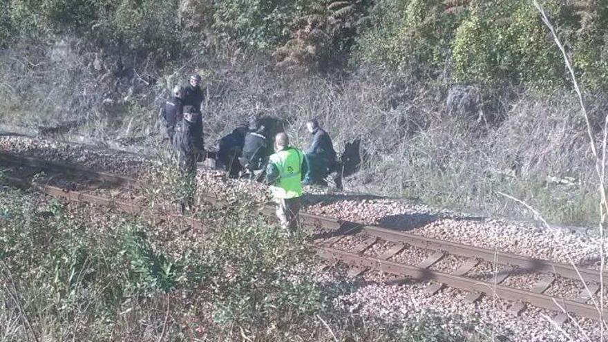 La zona en la que apareció el cadáver de Josefa García.